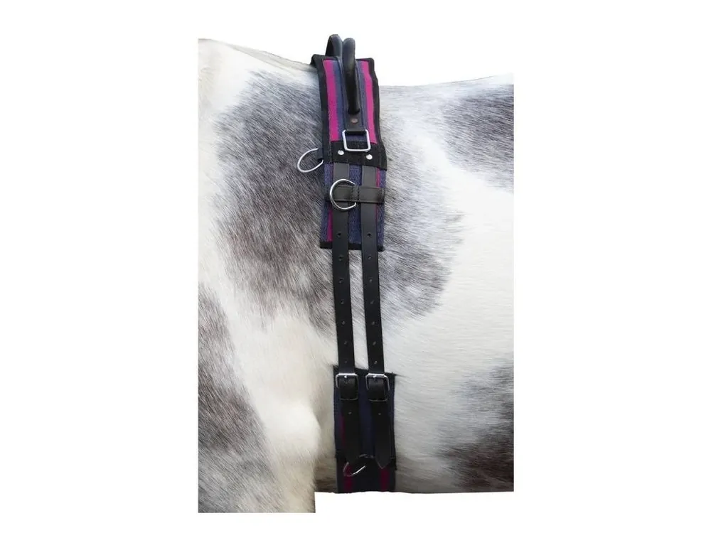 Madla HKM Canvas navy/passion pink SHETTY Levný