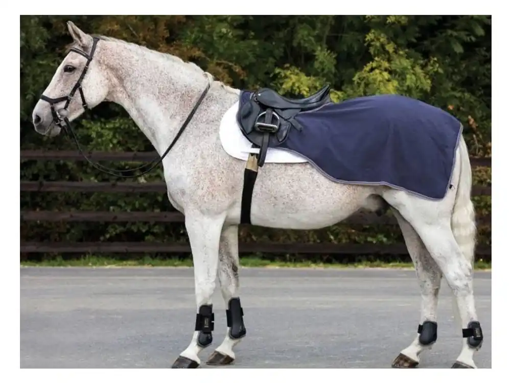Cenová Bomba Nepromokavá bederní deka HORSEWARE Rambo s fleece navy/thunderstorm grey & silver (L)