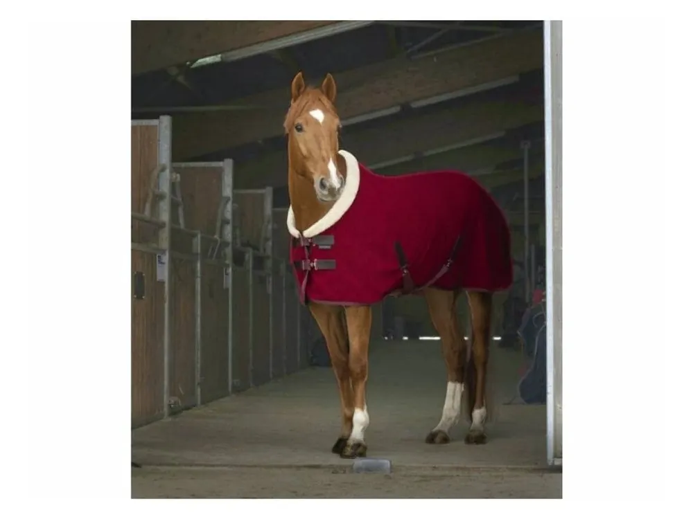 Top Prodej Odpocovací deka EQUITHEME Teddy burgundy/ecru 150cm