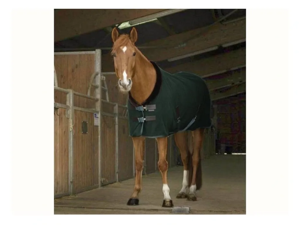 Odpocovací deka EQUITHEME Teddy zelená/hnědá 135cm Horká Nabídka