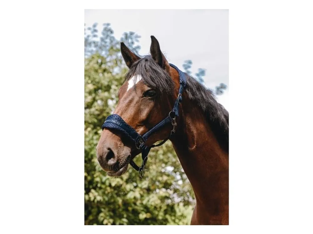 Ohlávka EQUITHEME 3D Mesh navy blue FULL Aktuální