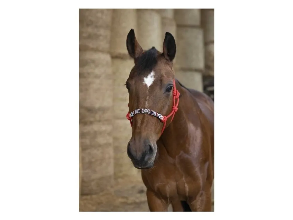 Provazová ohlávka NORTON Pearl s opletem červená PONY Ověřený