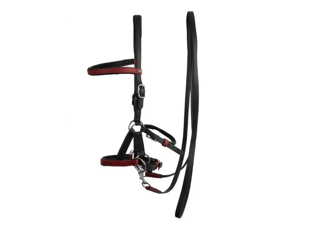 Sidepull F.R.A. Kirsche black/burgundy COB Nejlepší Cena