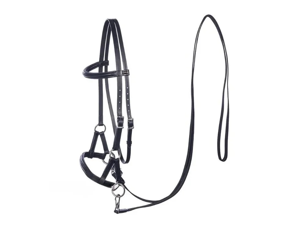 Ihned K Objednání Sidepull F.R.A. Pardoes black PONY