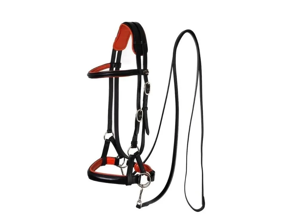 Nízká Cena Sidepull F.R.A. Pardoes de luxe black/orange PONY