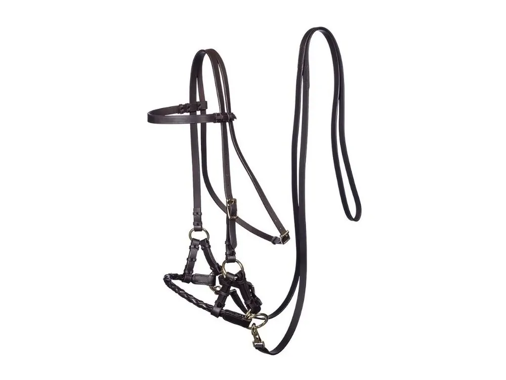 Akční Cena Sidepull F.R.A. Pariba mosaz brown COB
