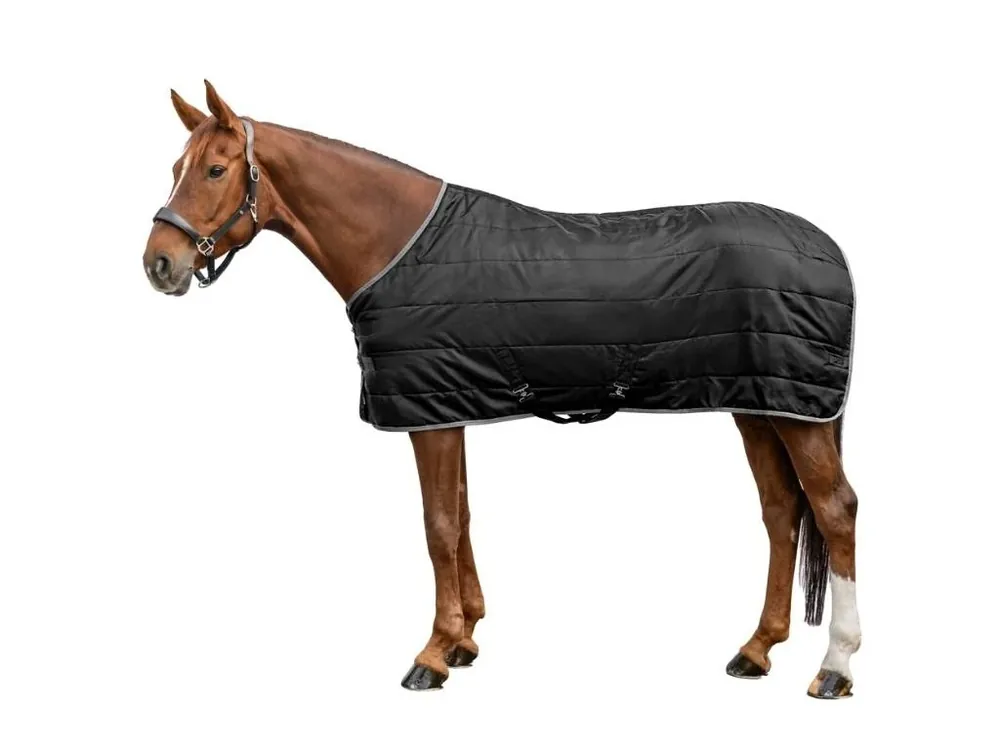 Expresní Doručení Stájová deka WALDHAUSEN Eco 200g black 145cm