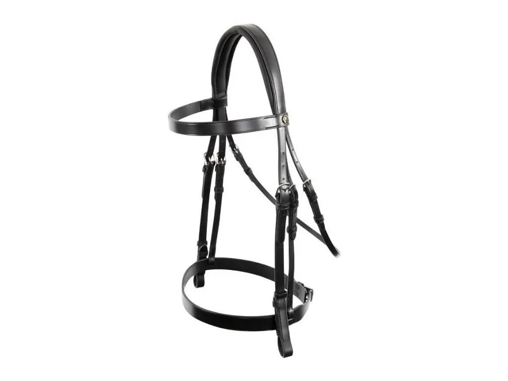 Sleva Uzdečka BR Hunter Kempston s anglickým nánosníkem black/silver FULL