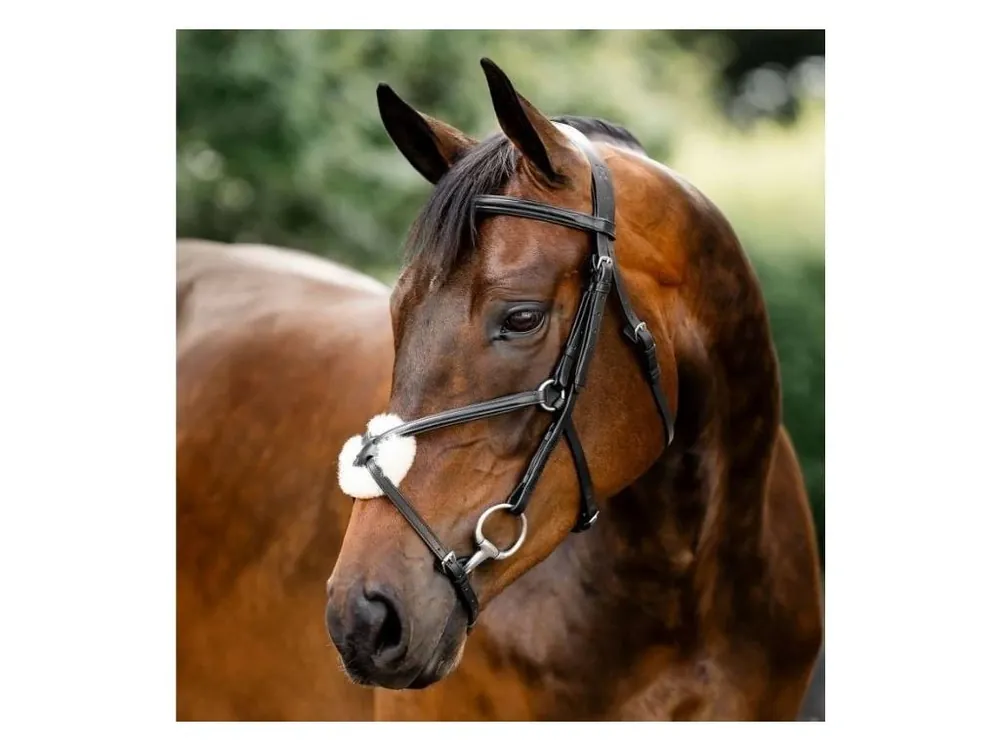 Jen Po Omezenou Doba Uzdečka HORSEWARE Figure 8 s mexickým nánosníkem black XFULL