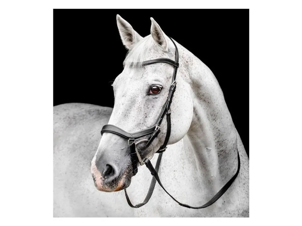 Uzdečka HORSEWARE Micklem Competition 3 black FULL Bezpečná Platba