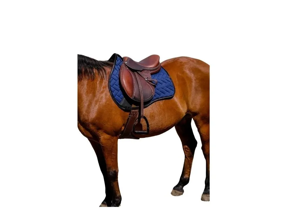 Všestranná podsedlová dečka EQUITHEME Impulsion tmavě modrá VS Bezpečná Platba