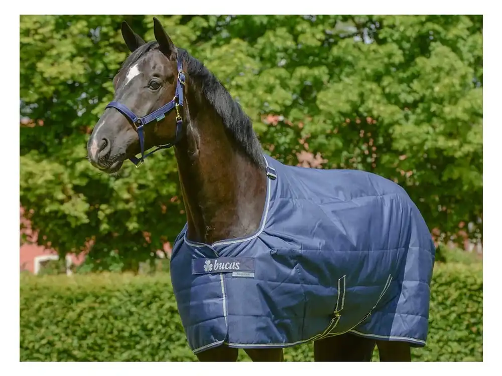 Tovární Cena Stájová deka BUCAS Quilt Staydry 300g modrá 165 cm