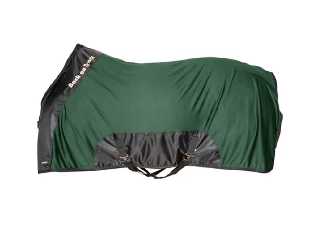 Nejlepší Cena Odpocovací deka transportní BACK ON TRACK Royal Mesh Rug Deluxe zelená 125