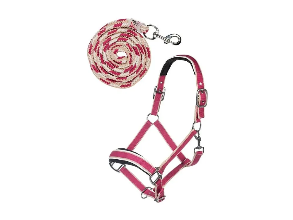 Cenová Bomba Ohlávka HKM s vodítkem klasik karabina magenta PONY