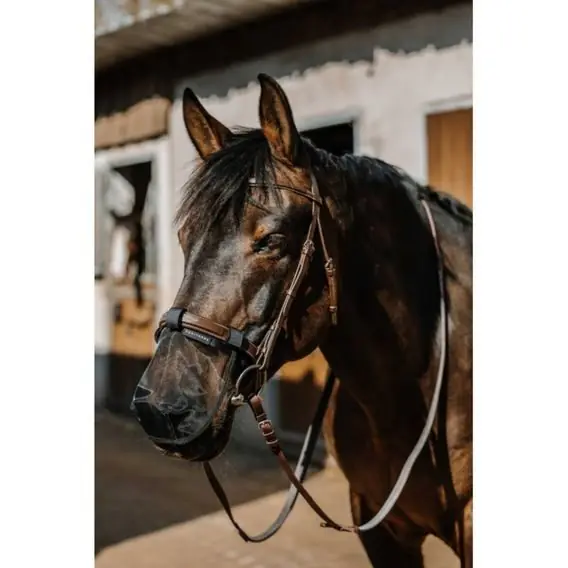 Časově Omezené Síťka na nozdry EquiTheme Anti UV