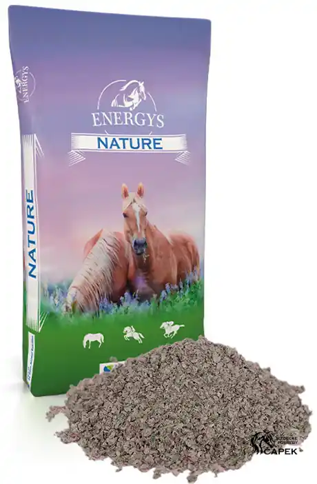 Kup Teď Energys -CUKROVARSKÉ ŘÍZKY-