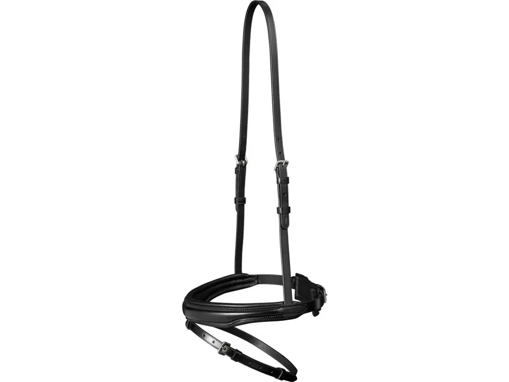 Nánosník Waldhausen S-Line Flash Nejlepší Cena
