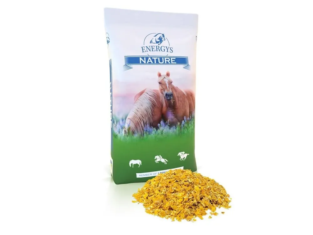 Energys Corn Flakes kukuřičné vločky 15 kg Vysoce stravitelné extrudované kukuřičné vločky Poslední Šance